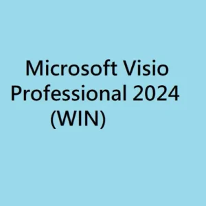 microsoft visio professional 2024 (win)