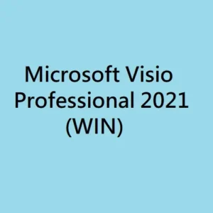 Microsoft Visio Professional 2021 (WIN)