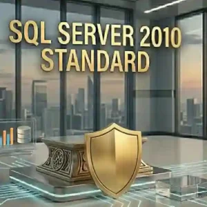 sql server 2010