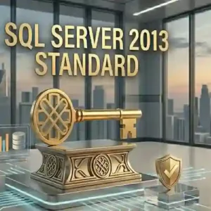 server 2013