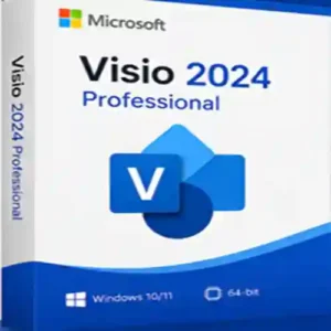 Microsoft Visio 2024 Professional Bind Key