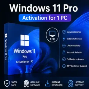 windows 11 pro